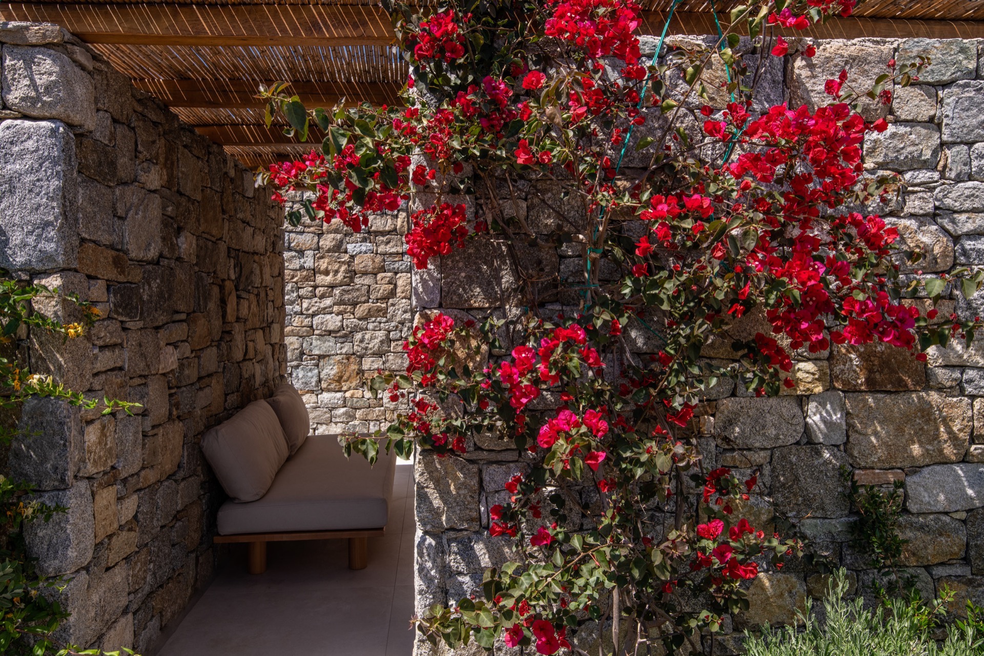 Stone courtyard with bougainvillea and built-in seating